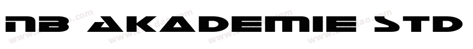 NB Akademie Std Medi字体转换